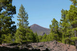 Lanzarote - Wandererlebnisse